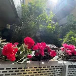 Sublime 2 P 36 m2 Paris 14 Alésia Neuf Climatisé