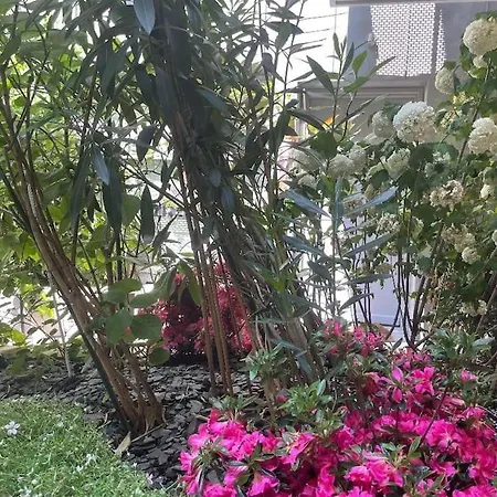 Sublime 2 P 36 M2 14 Alesia Neuf Climatise * Parigi